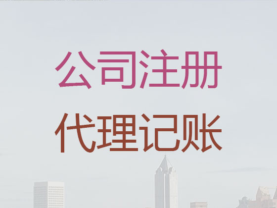 海南代记账公司|私人企业记账/做账代理